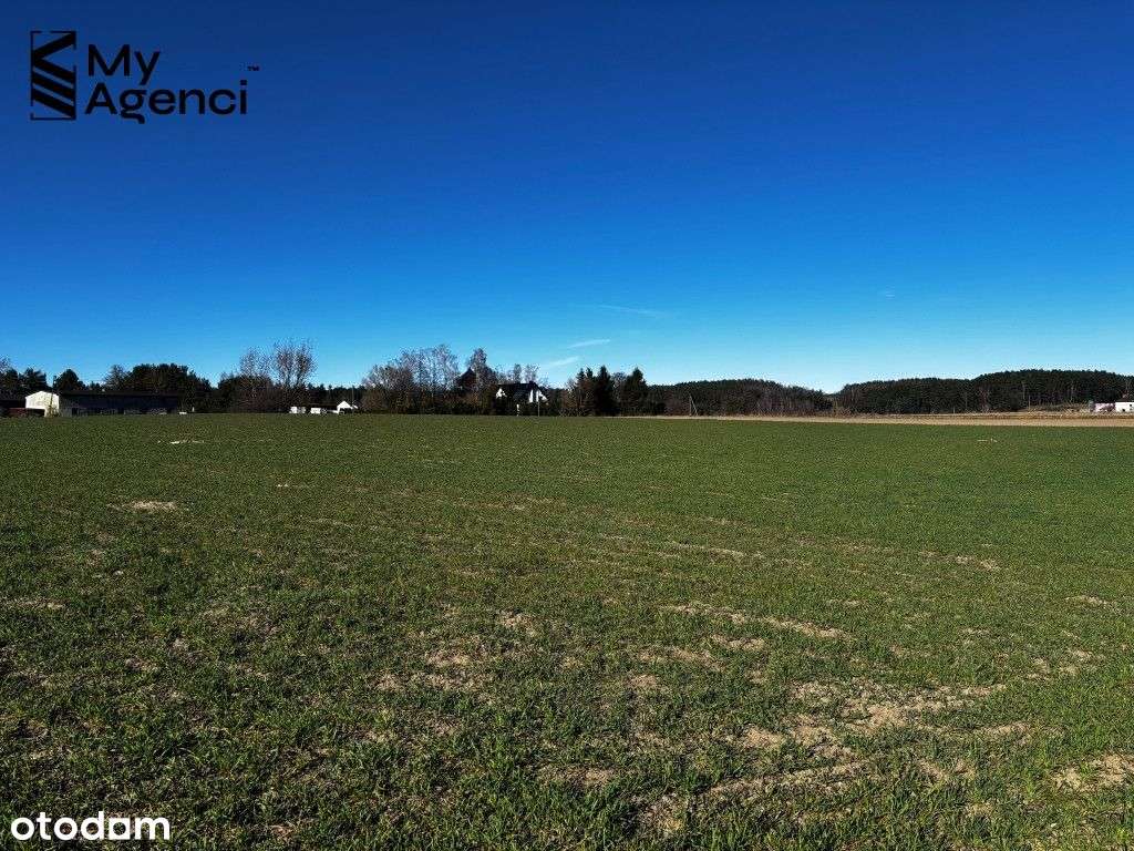 Dobrzewino - działka budowlana na sprzedaż - Pełny obrazek: 5/11