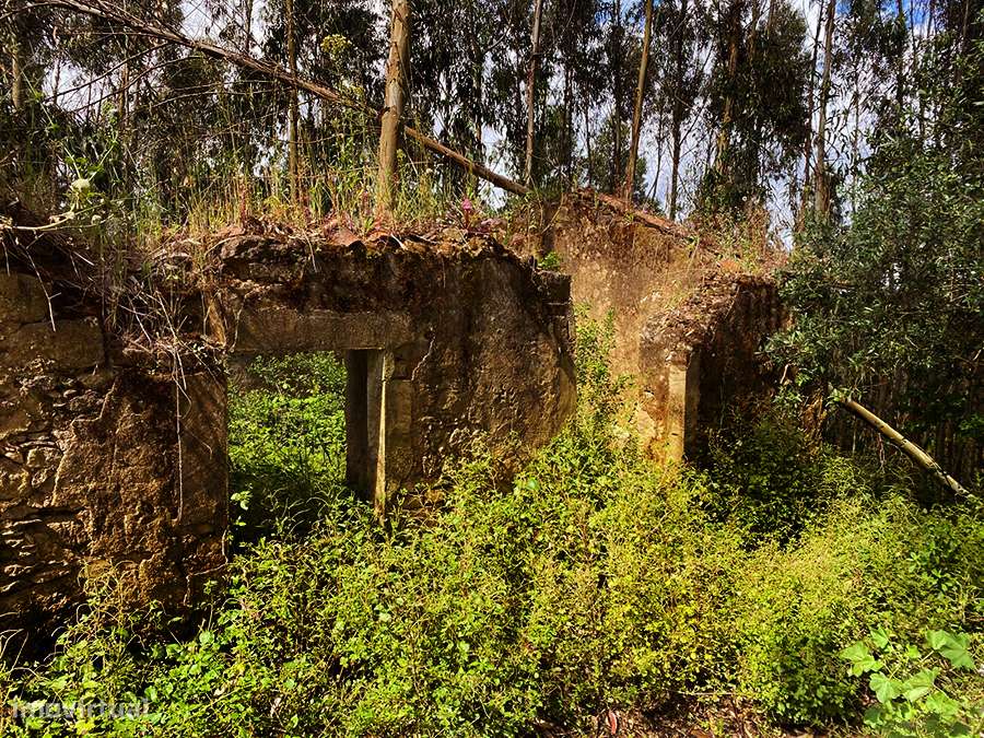 Grande terreno com habitação em ruína, 5 min. de C. da Rainha e Óbidos-1