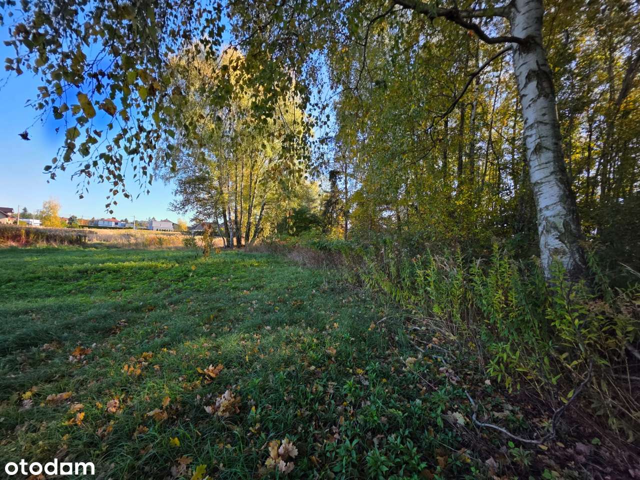 Imponująca powierzchnia w dobrej lokalizacji-3