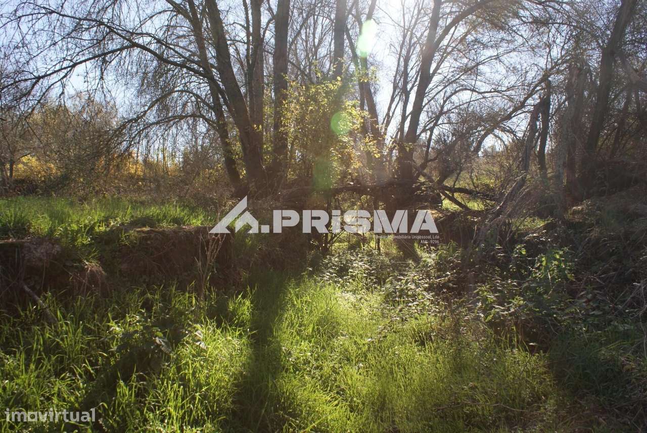 Oportunidade Única às Portas de Castelo Branco!-17