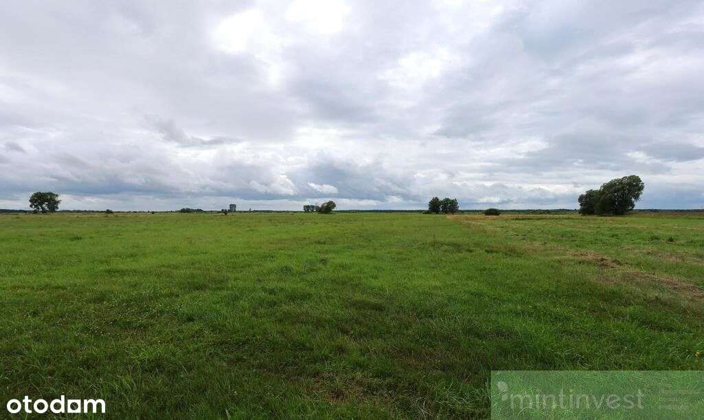 Działka rolna w Żarnowie 3,31 ha, gmina Stepnica-2