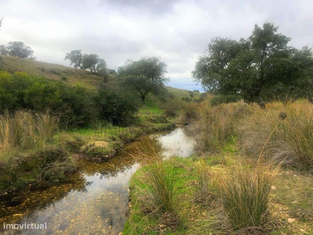 Quinta com uma ribeira e uma vista fantástica em Vila Nova de S. Be... - Grande imagem: 4/60