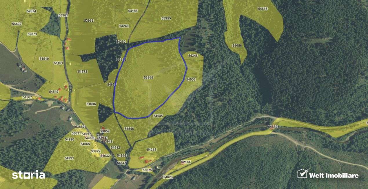 Se vinde teren cat un munte in Apuseni - Poiana Horea-15