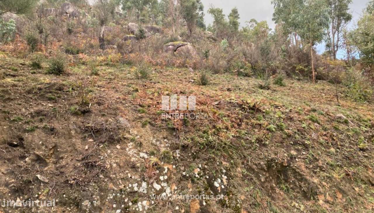 Venda Terreno, Penha Longa, Marco de Canaveses - Grande imagem: 2/25