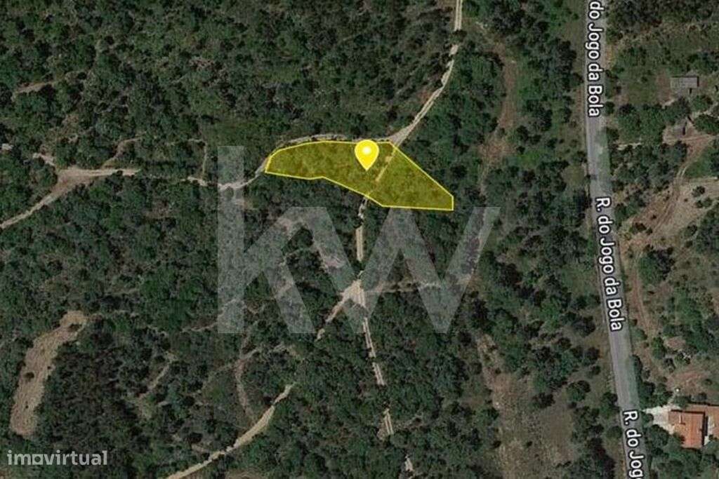 Terreno Rústico | 1.480 m2 | Sardoal, Valhascos - Grande imagem: 4/5