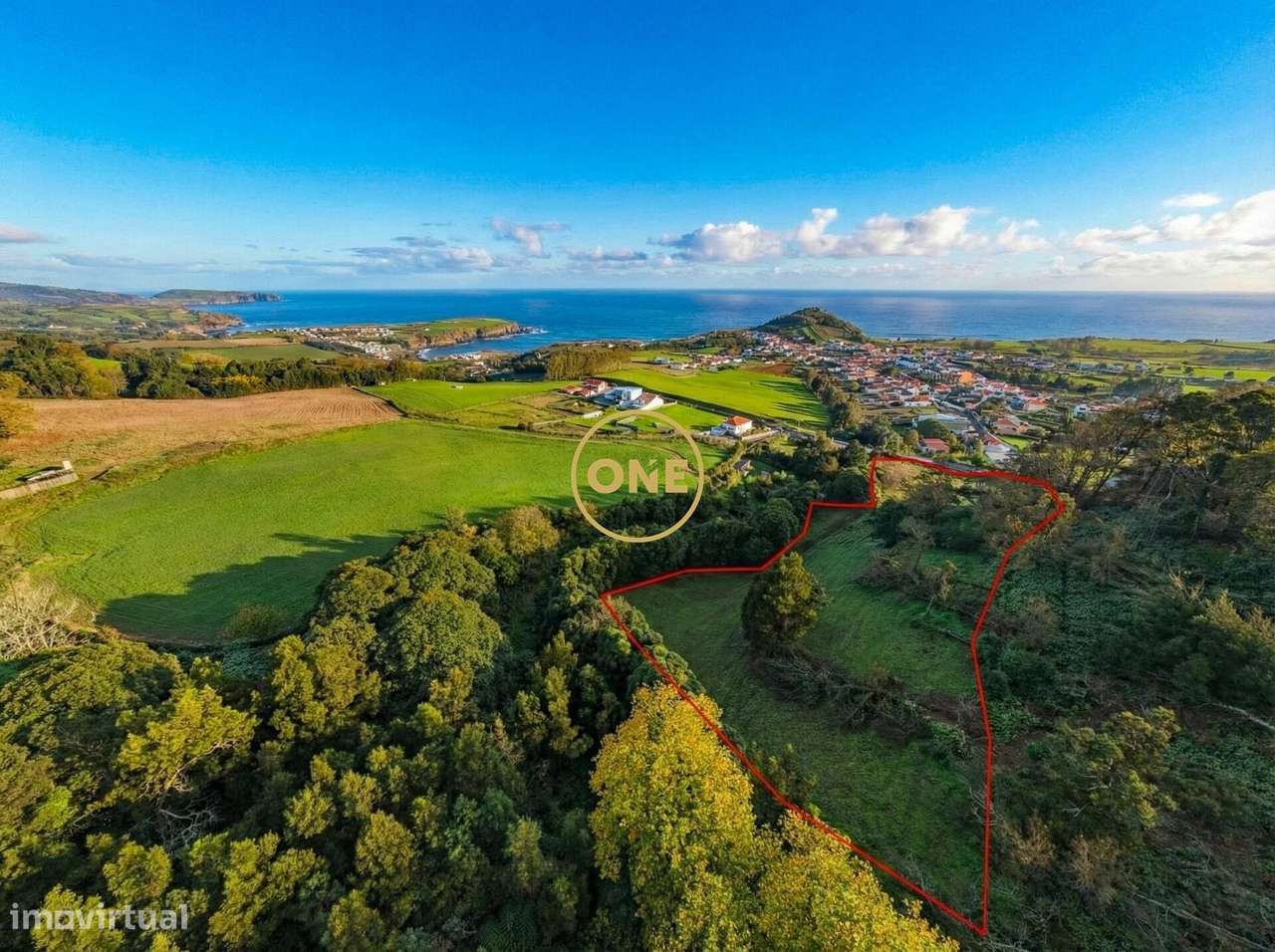 Terreno Rústico em São Brás – Oportunidade Única de Investimento - Grande imagem: 3/5