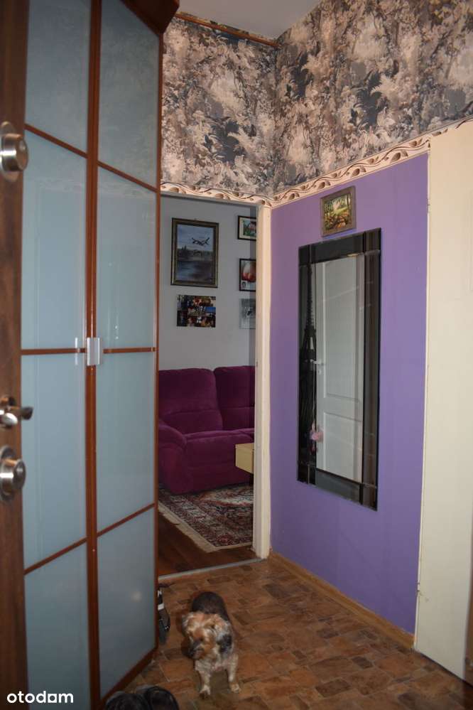 mieszkanie w Chorzowie Batorym-2