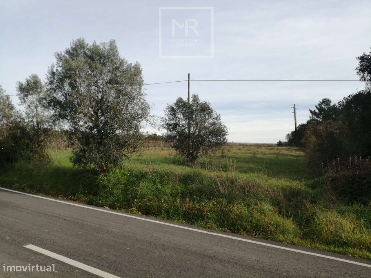Terreno  Venda em Amoreira da Gândara, Paredes do Bairro e Ancas,Anadi - Grande imagem: 5/6
