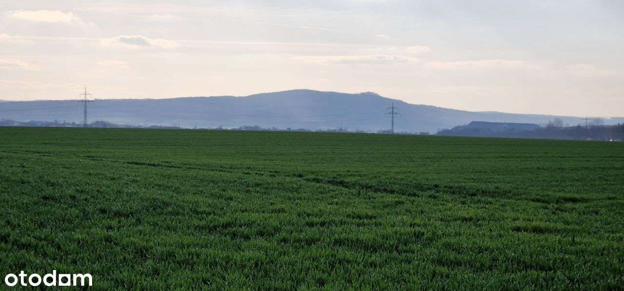 W bezpośrednim sąsiedztwie miasta Jawor - Pełny obrazek: 4/11