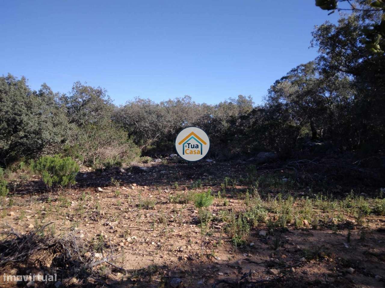 Terreno Rústico com Furo nos Arredores de São Brás de Alportel - Grande imagem: 5/16