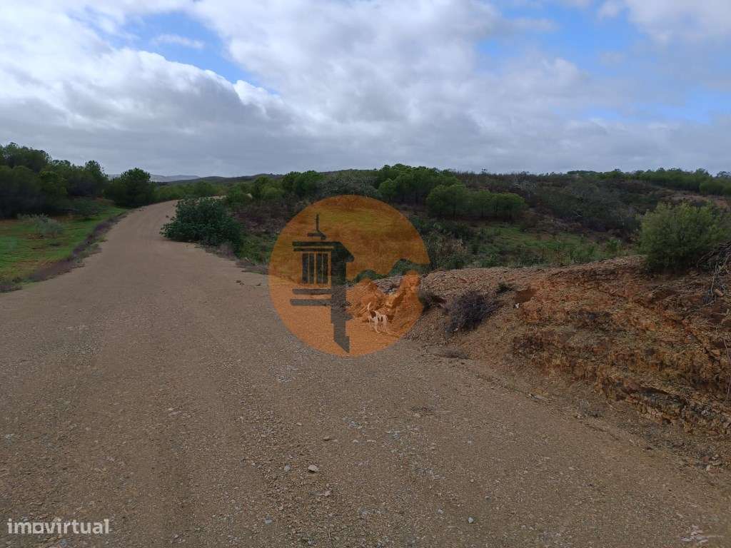 TERRENO RÚSTICO COM 3.800 M2 - PRÓXIMO AS ALCARIAS GRANDES - CASTRO... - Grande imagem: 5/22