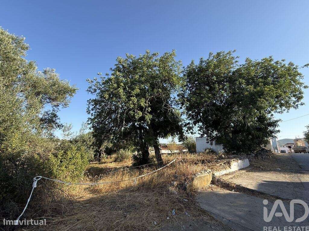 Terreno para construção em Santa Bárbara de Nexe de 3280,00 m2 - Grande imagem: 2/24