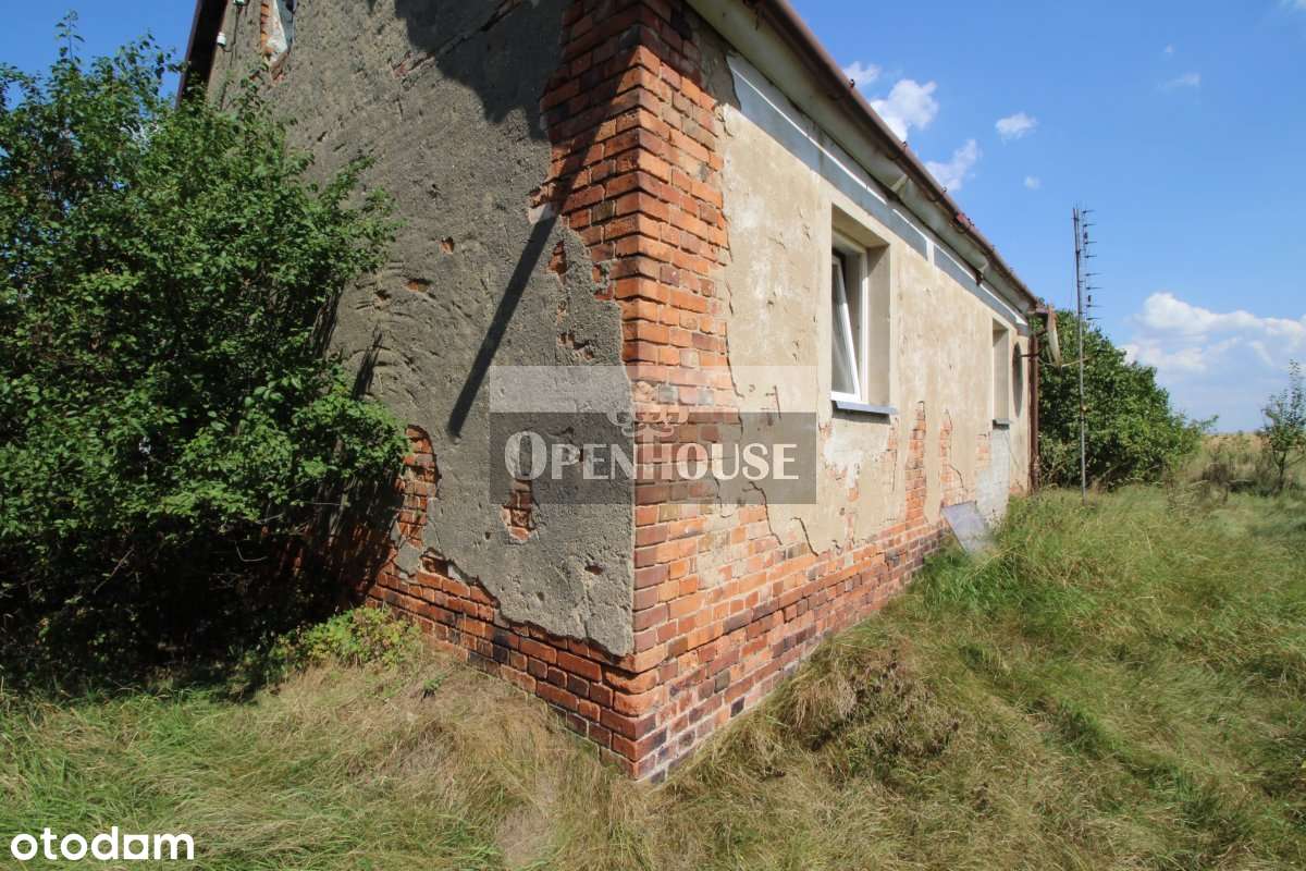 Działka zabudowana domem -Nowa Jabłona NIŻSZA CENA - Pełny obrazek: 4/12