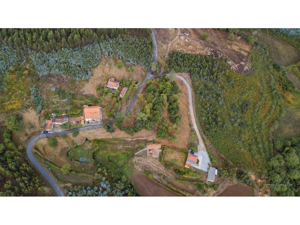 Quinta em Nogueira Paraíso Castelo de Paiva-13