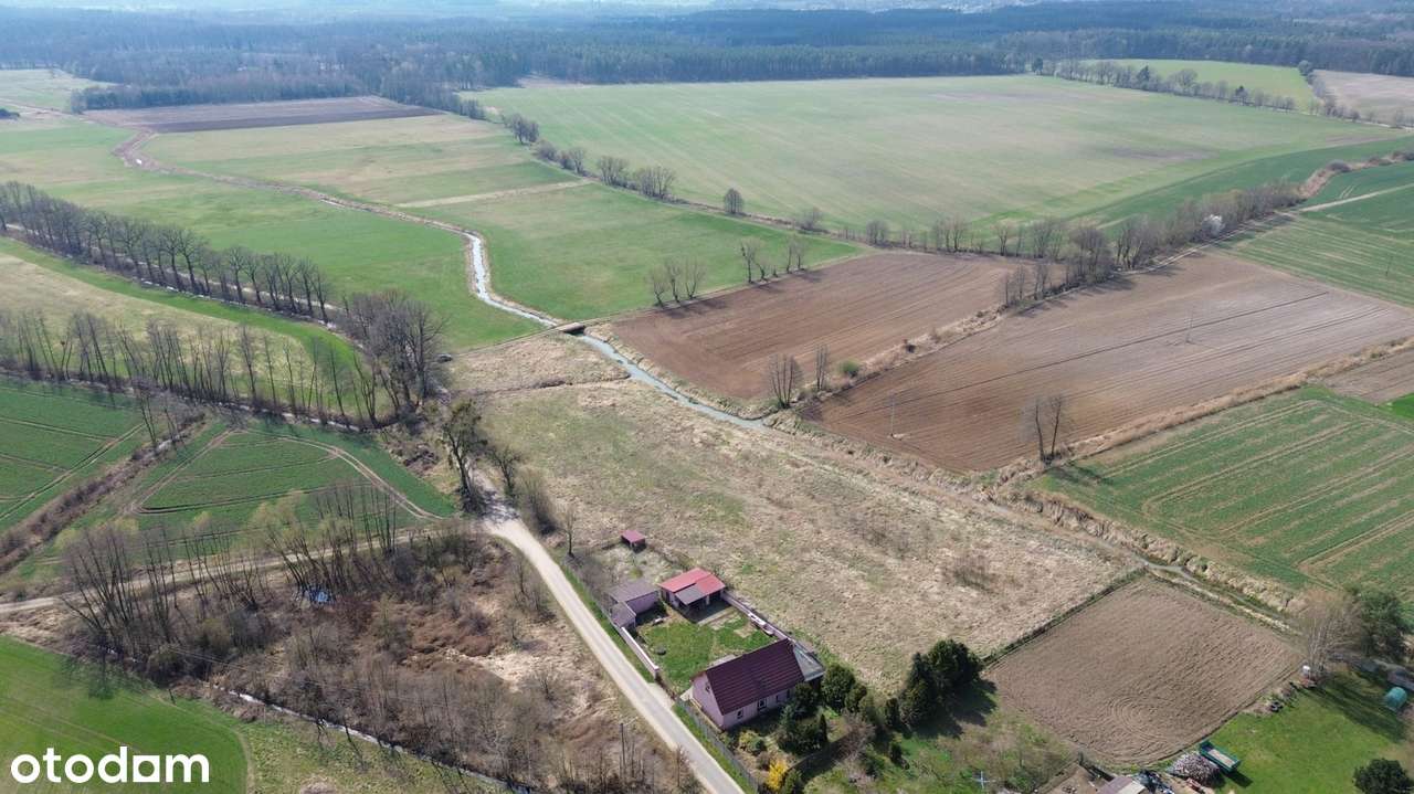Atrakcyjna działka – 0,93 ha | Czatkowice, blisko Milicza-5