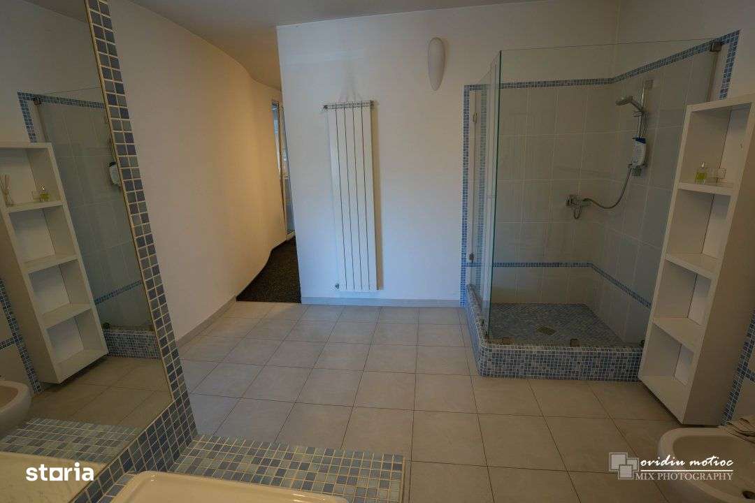 Hale cu deschidere la drumul european-14