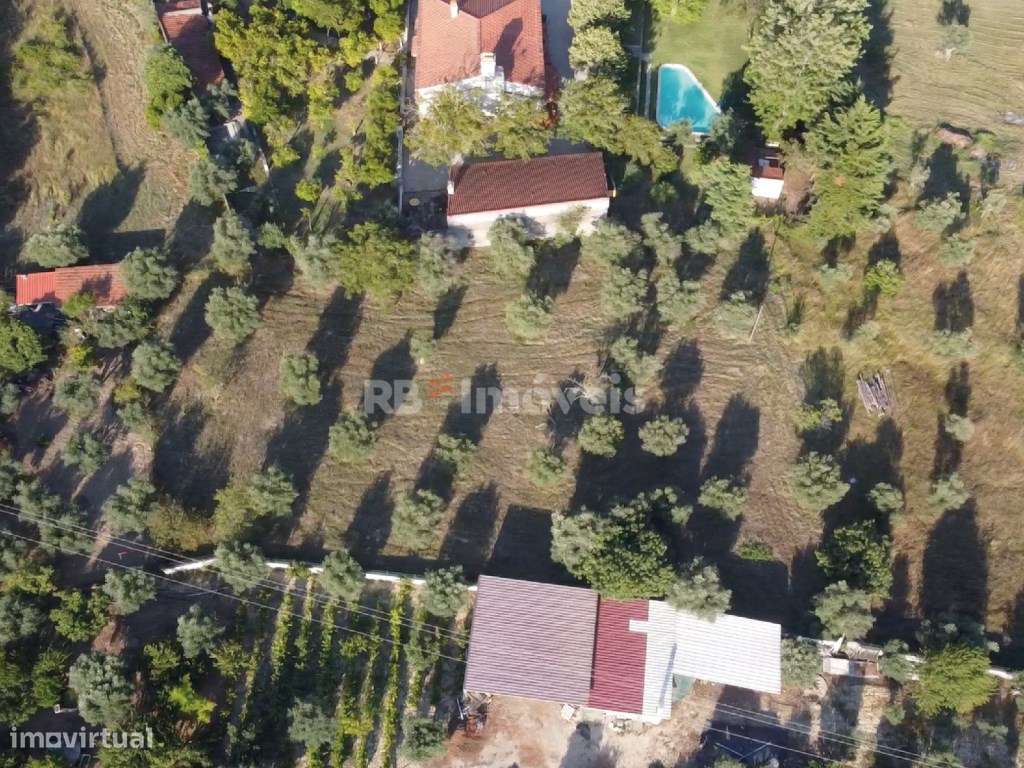 Dois Terrenos Urbanizáveis com 2480 m2 - Pesqueira, Tomar - Grande imagem: 4/45