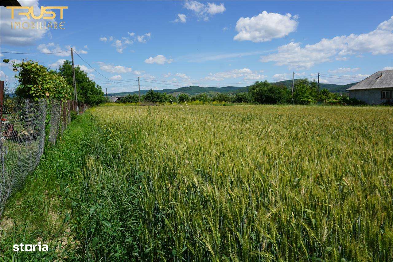 Teren intravilan Malut acces direct din DJ 172 F - Imagine principală: 4/13