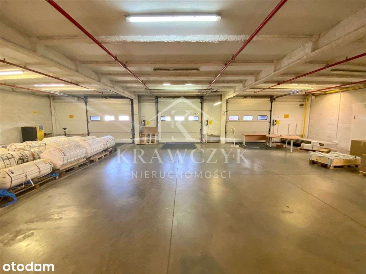 Hala Magazynowo-Biurowa - Nowoczesna - Pełny obrazek: 5/12