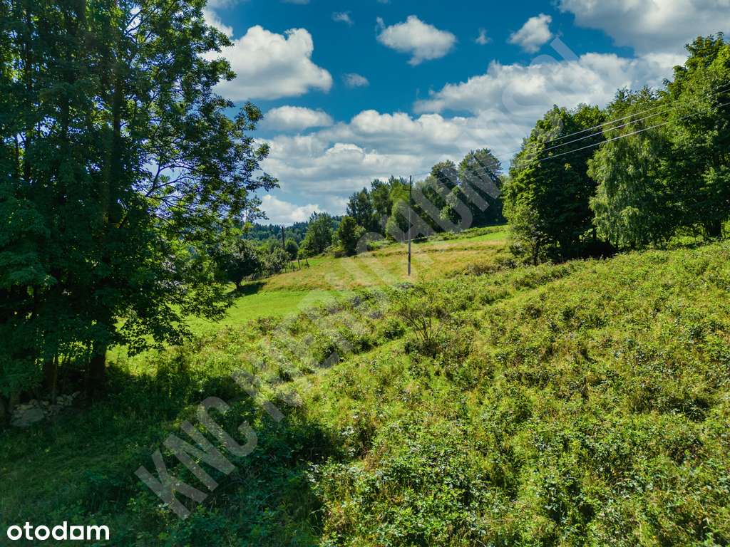 Zawoja Wełcza działka pod zabudowę - Pełny obrazek: 5/11