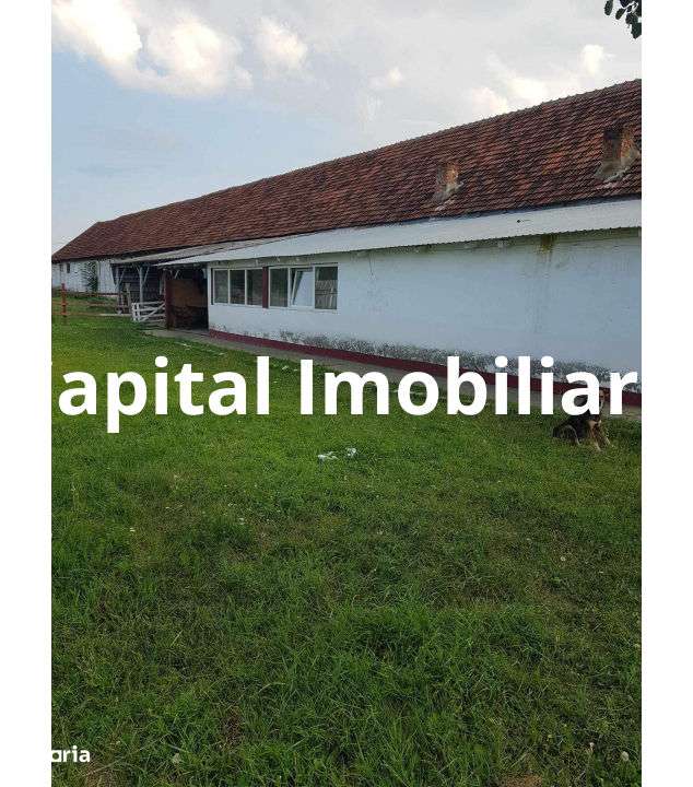 Ferma langa Oravita 5600 mp construiti si teren 24281 intravilan - Imagine principală: 5/10