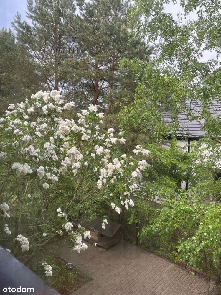 Dom w malowniczym zakątku Bydgoszczy!!!-7