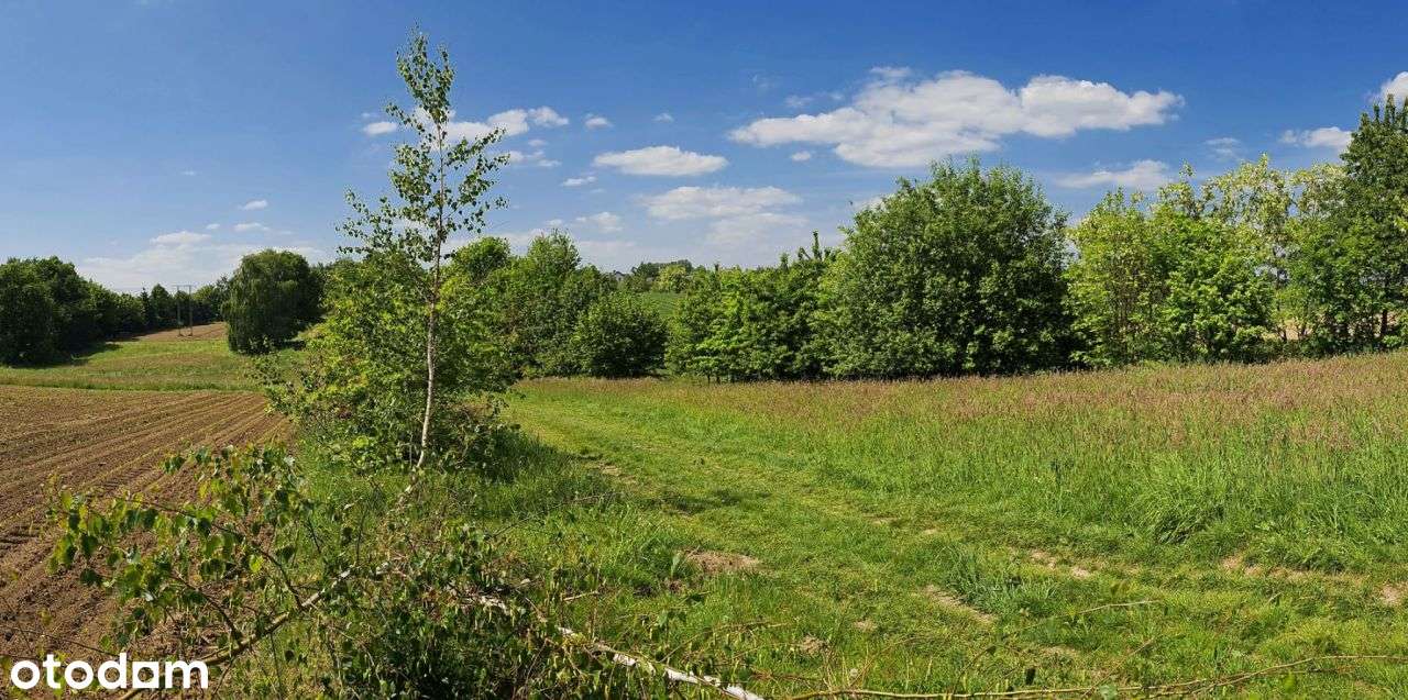 Widokowa działka budowlana nad jeziorem Goczałkowi - Pełny obrazek: 4/4