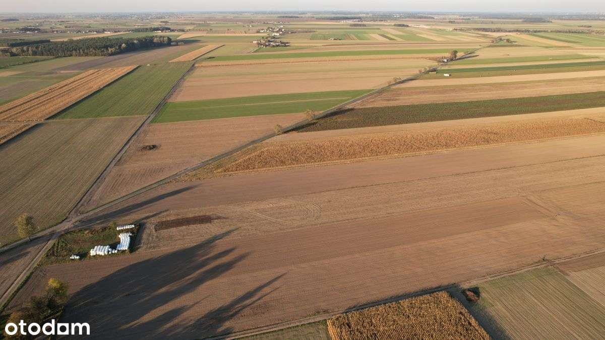 Gospodarstwo rolne (2,5439 ha) Strzępiń-5