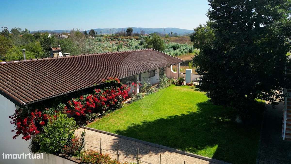 Moradia T3 | Anexo T1 | 628m2 | Lote 2140m2 | 10 min Centro Águeda-25