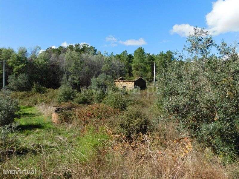 Quintinha / Fundão, Vale Prazeres - Grande imagem: 4/10