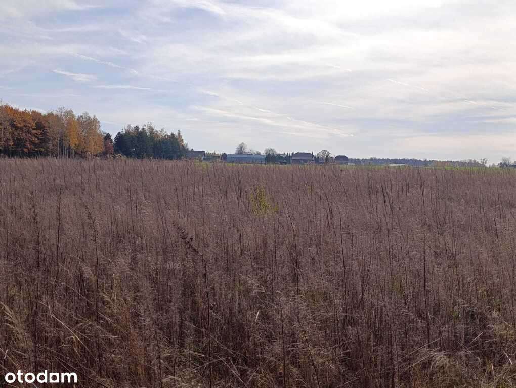 Działka budowlana w Dąbrówce Wyłazy, przy lesie-12