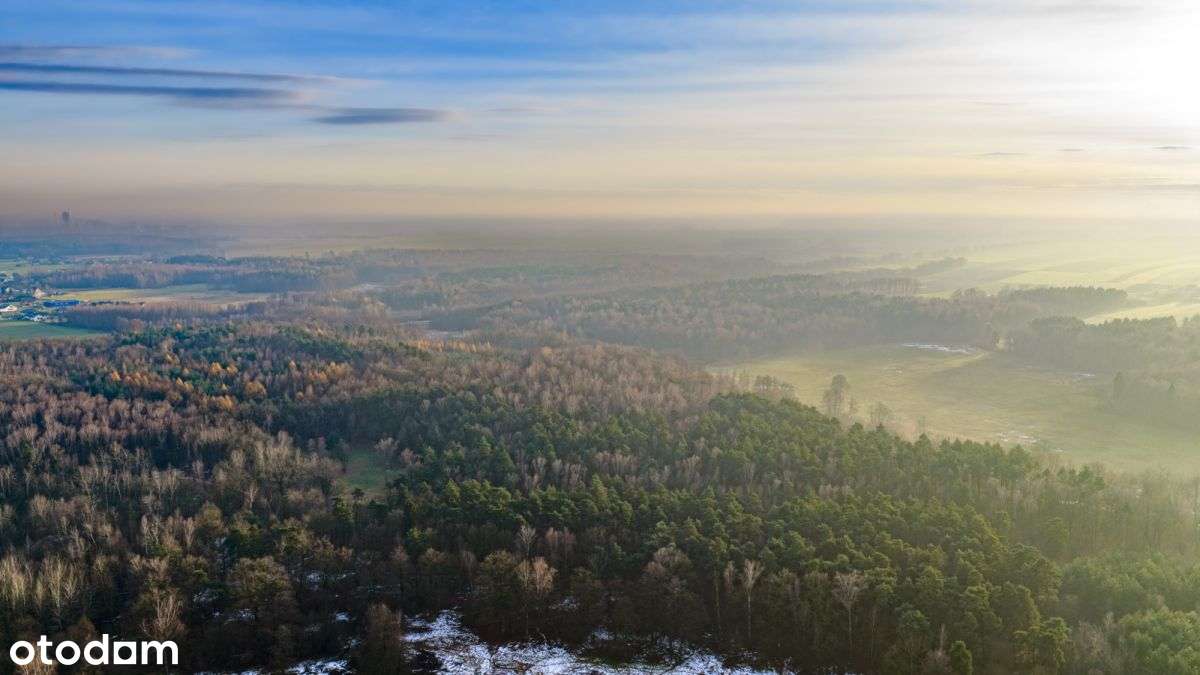 Działka Premium z prywatny lasem - 7,99ha-8