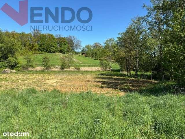 Okazja/piękne miejsce/woda i prąd/m.Świątniki - Pełny obrazek: 5/5