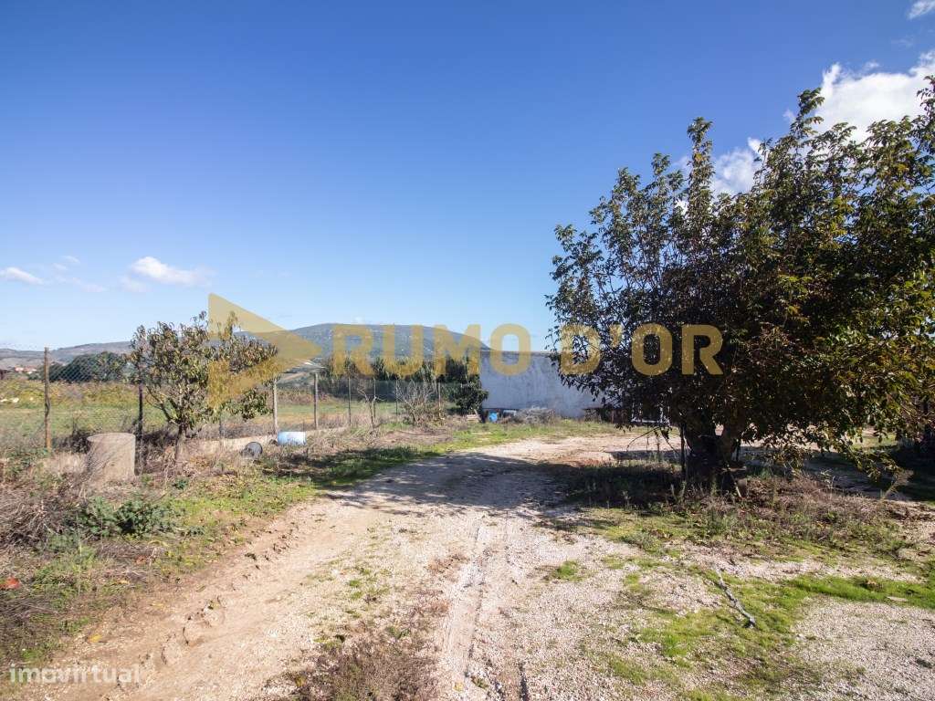 2 Moradias T3 para Recuperar em Penafirme da Ventosa, Alenquer-14