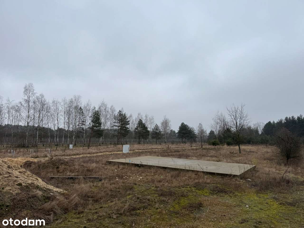 Sprzedam działkę z warunkami zabudowy i projektem domu w Mniszewie - Pełny obrazek: 4/17