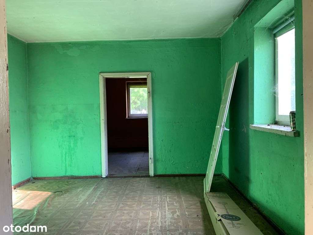 dom w środku lasu gm. Izbica Kujawska woj Kujawsko-13