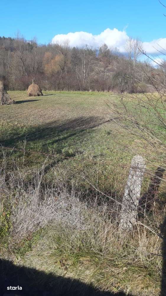 Vand teren Intravilan Loc. Capruta Com. Barzava, Jud Arad, 1674m2 ComO - Imagine principală: 4/14