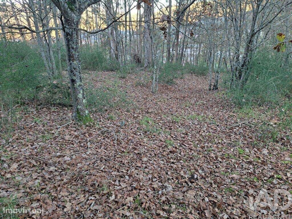 Terreno em Sande, Vilarinho, Barros e Gomide de 6101,00 m2 - Grande imagem: 4/9