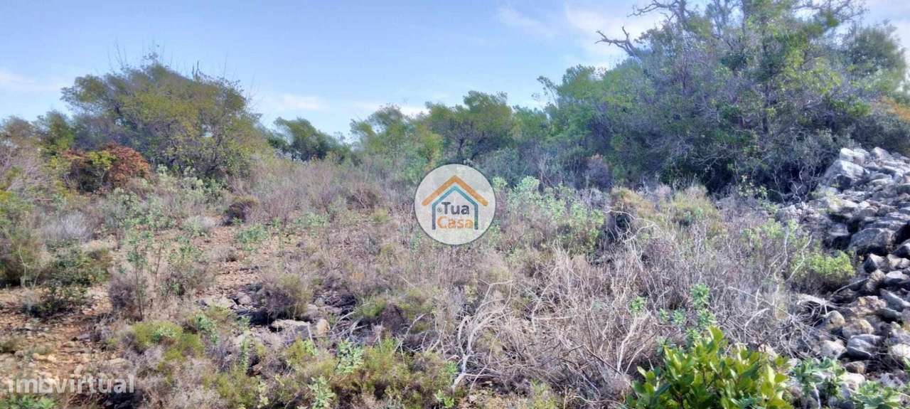 Terreno Rústico com Viabilidade de Construção nos Machados - Grande imagem: 4/26