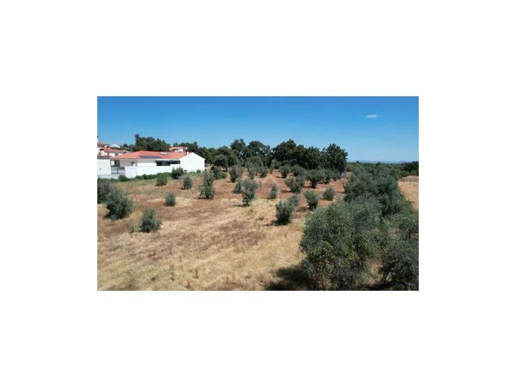 Moradia independente com 500 m2 área bruta-28