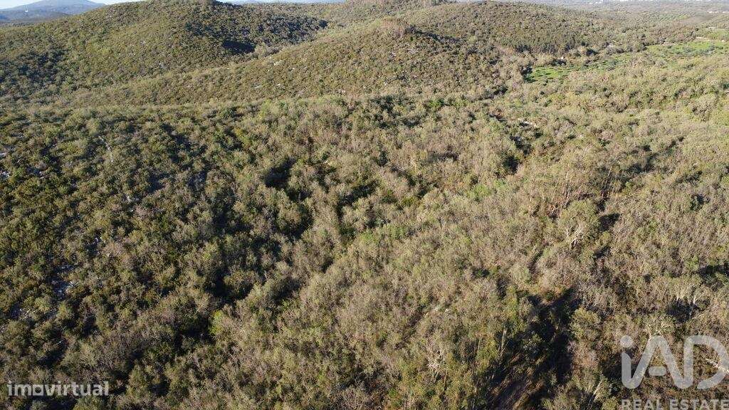 Terreno em Chãos - Grande imagem: 5/18