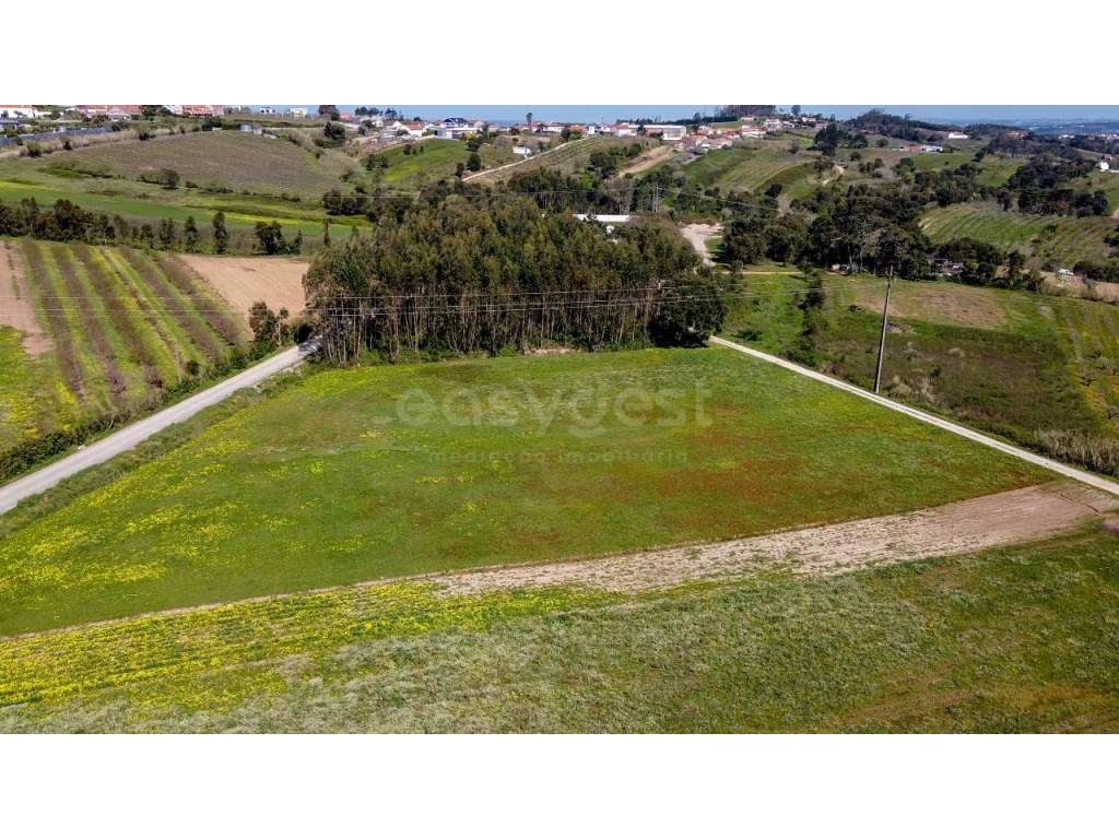 Terreno com 17.400 m² em Óbidos localização estratégica entre natur... - Grande imagem: 3/12
