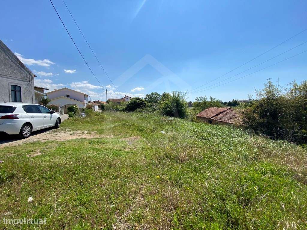 Terreno Rústico em Anadia - Grande imagem: 5/9