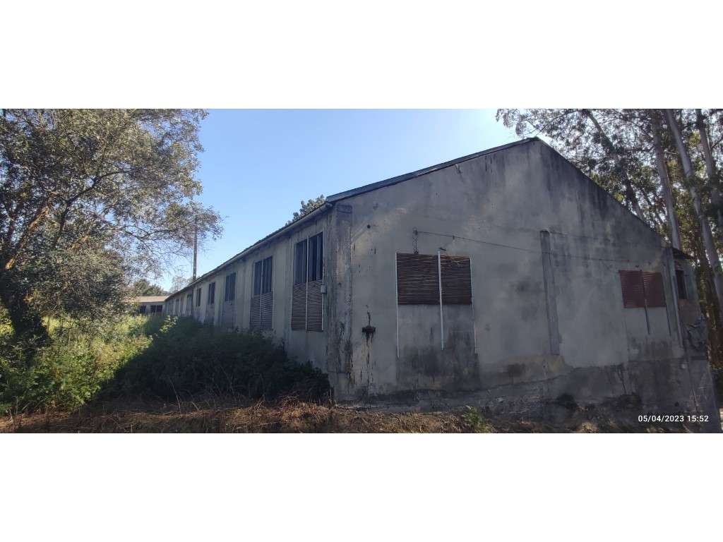 Barracão para aviário e logradouro, bem localizado e com bons acess... - Grande imagem: 2/16