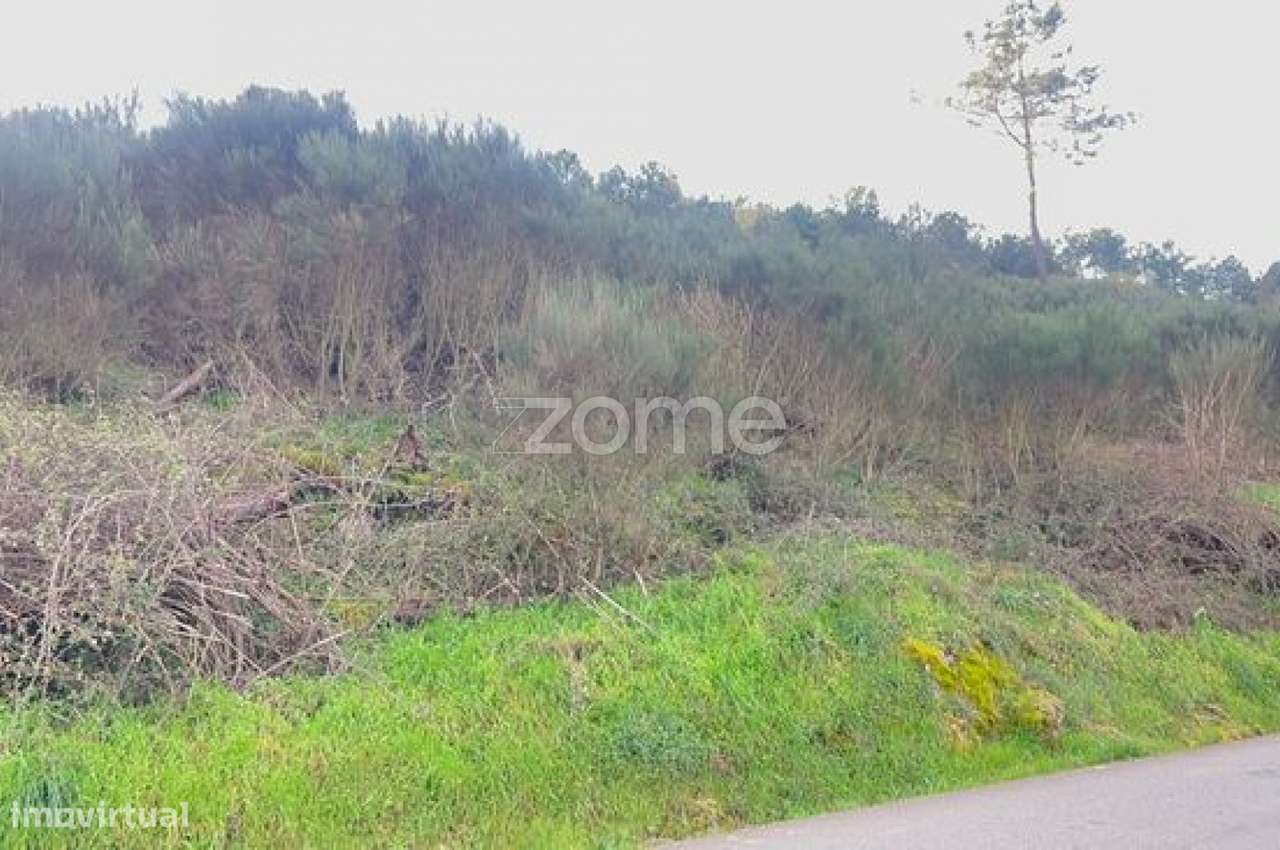 Terreno em Zona Florestal – Ideal para Cultivo ou Caravana - Grande imagem: 3/9