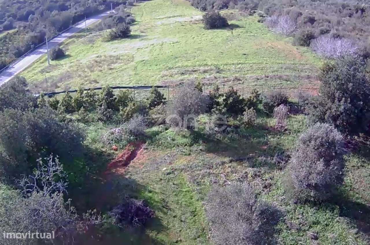 Terreno rústico vedado em Silves. - Grande imagem: 4/32