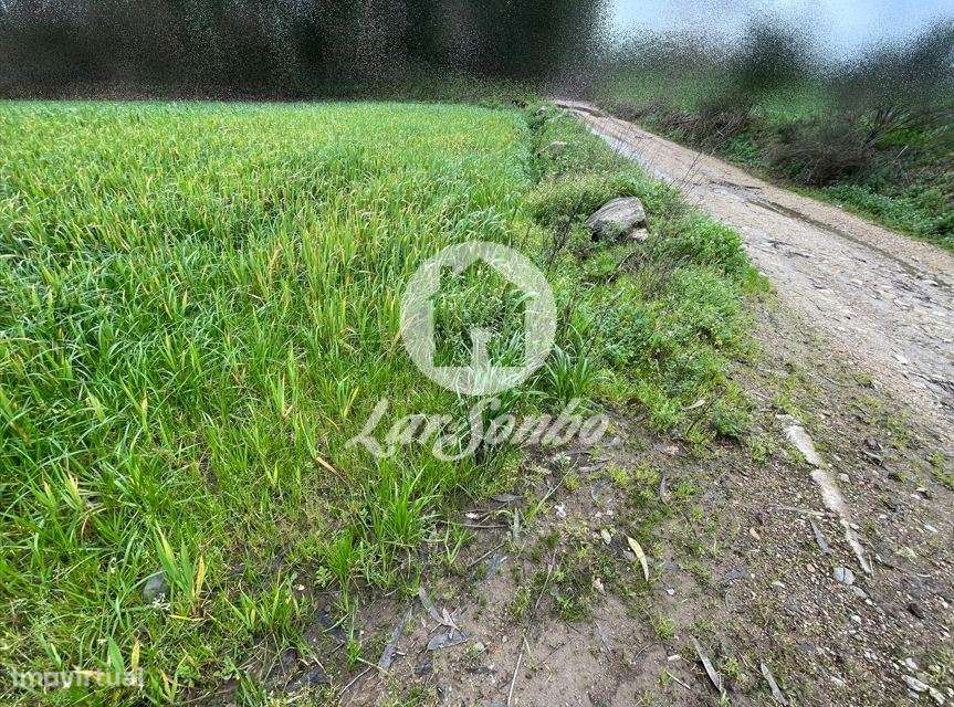 Terreno Rústico com 21.132m² em Balazar, Póvoa de Varzim - Grande imagem: 5/20