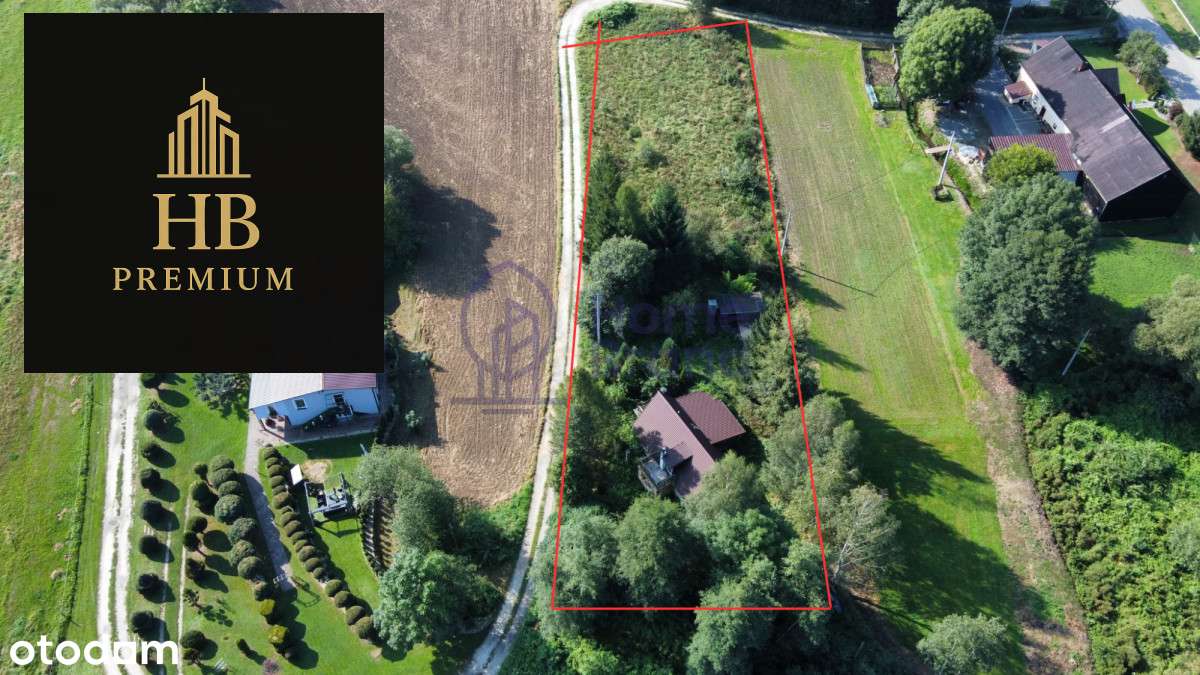 Duża działka 3300m2| Dom do remontu| Góry - Pełny obrazek: 4/13