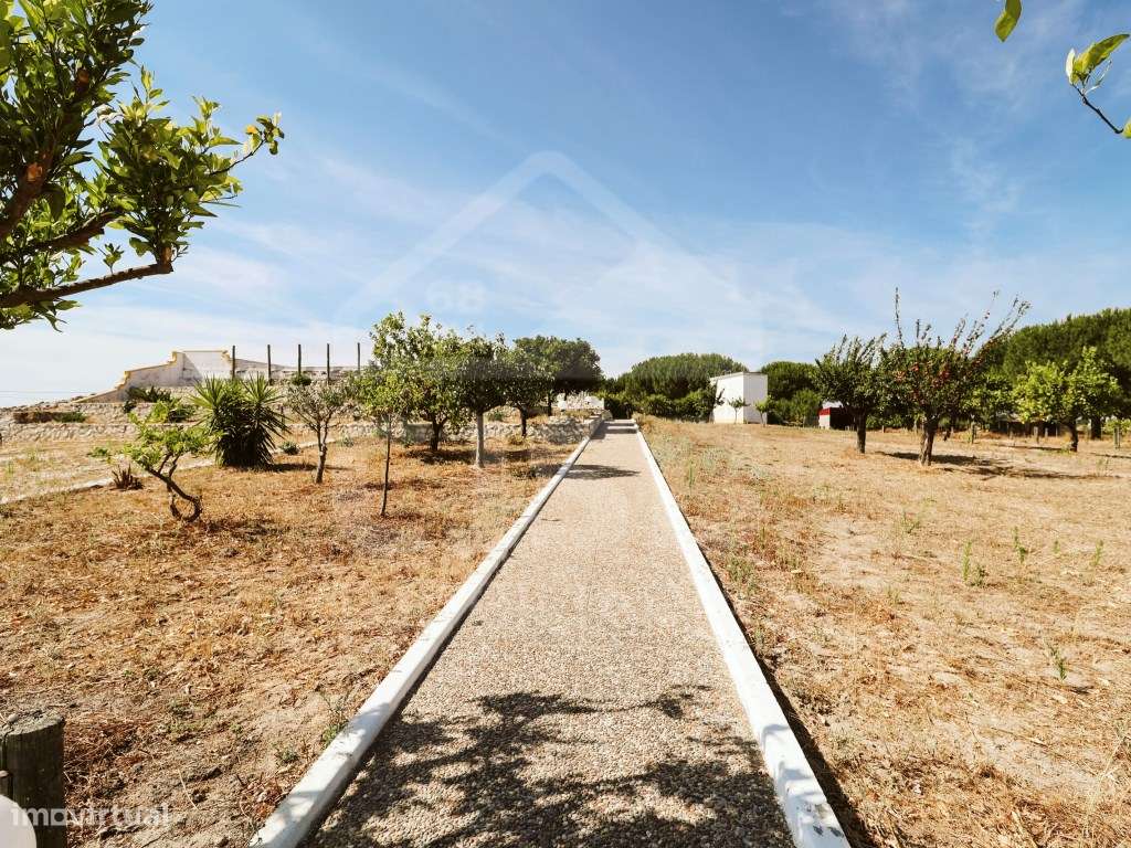 Quinta T5 na Branca-50