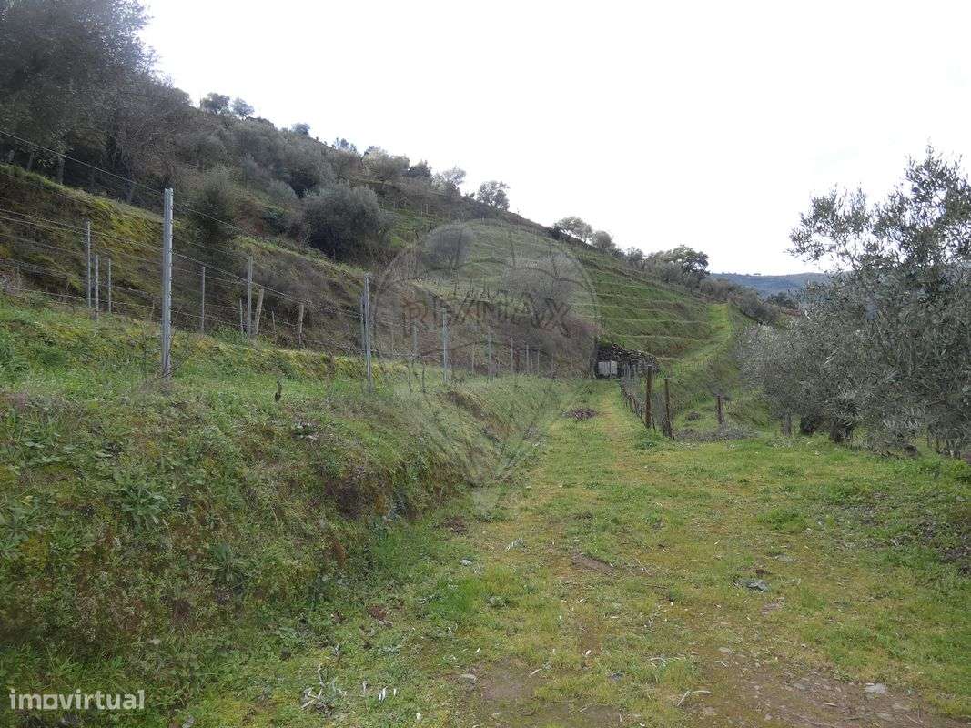 Terreno  para venda - Grande imagem: 4/14